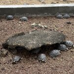 Photo taken by Lisa P