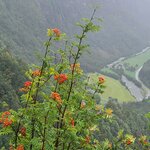 Photo taken by Tamara N