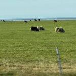 Photo taken by Nan K