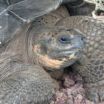 Photo taken by Lisa P