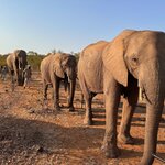 Photo taken by Tom B