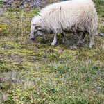 Photo taken by Debbie B