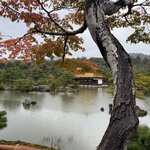 Photo taken by Jennifer G