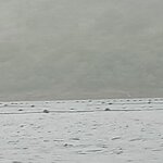 Photo taken by Bob J