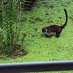 Photo taken by David G