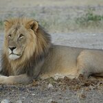 Photo taken by Sandro P