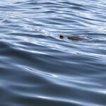 Photo taken by Anna L