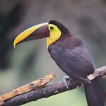 Photo taken by Jayme B