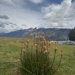 Photo taken by Rob G