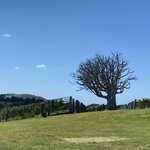 Photo taken by Gabrielle H