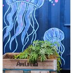 Photo taken by Jessica S