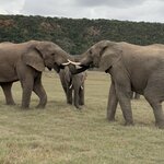 Photo taken by Martin D