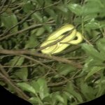 Photo taken by ted m