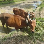 Photo taken by Valerie K