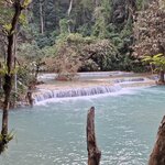 Photo taken by Stephen B