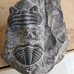 Photo taken by Cynthia D