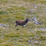 Photo taken by Robert W