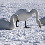 Photo taken by Iain M