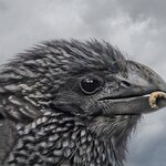 Photo taken by mindy n