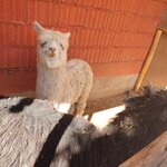 Photo taken by Bree J