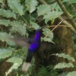 Photo taken by Emelyn J