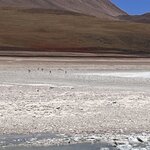 Photo taken by Shirley S