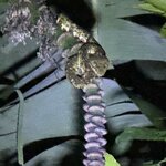 Photo taken by Chris H