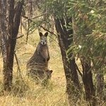 Photo taken by Lori V