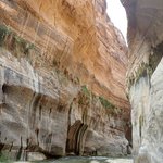 Photo taken by fern k