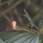 Photo taken by Ben B