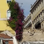 Photo taken by Mike T