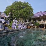 Photo taken by Nancy P