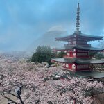 Photo taken by Caz J