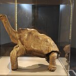 Photo taken by Vinay K