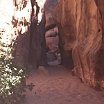 Photo taken by Mia F