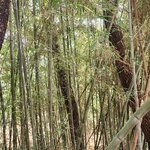 Photo taken by Mark C