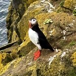 Photo taken by Erin P