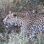 Photo taken by rhonda c