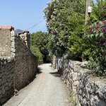 Photo taken by Joann N