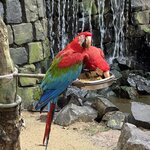 Photo taken by Kathy .