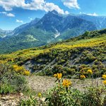 Photo taken by JoAnne C