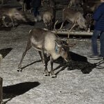 Photo taken by Jennifer M