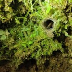 Photo taken by Bryan D