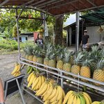 Photo taken by katie u