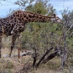 Photo taken by rafiq m