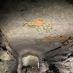 Photo taken by stefanie c