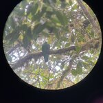 Photo taken by Chris G