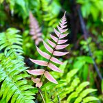 Photo taken by Michelle C