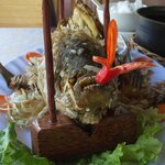 Photo taken by Brian C