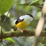 Photo taken by Ben B